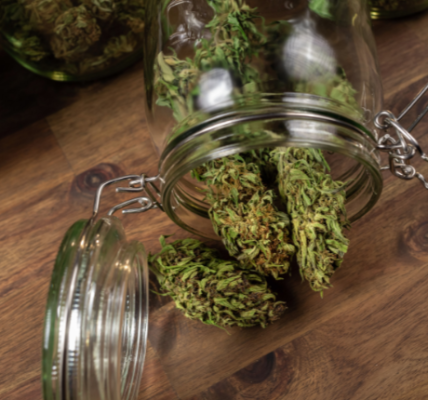 Best Ways to Store THCA Flower to Keep It Fresh and Potent