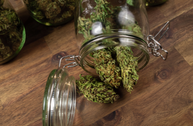 Best Ways to Store THCA Flower to Keep It Fresh and Potent
