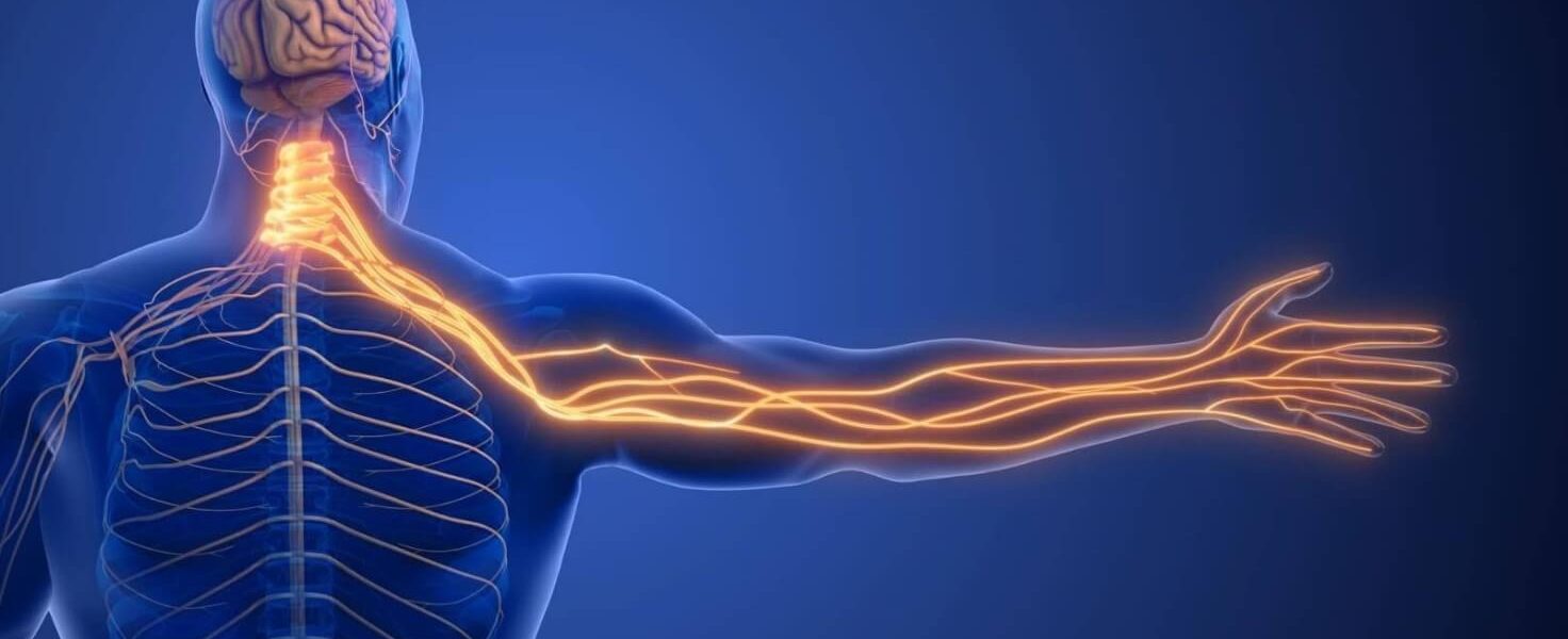 Find Peripheral Nerve Stimulation Specialist in Florida