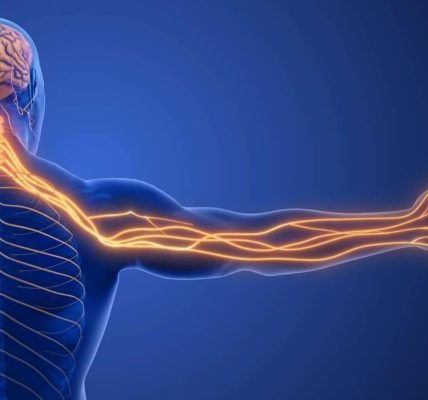 Find Peripheral Nerve Stimulation Specialist in Florida