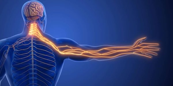 Find Peripheral Nerve Stimulation Specialist in Florida